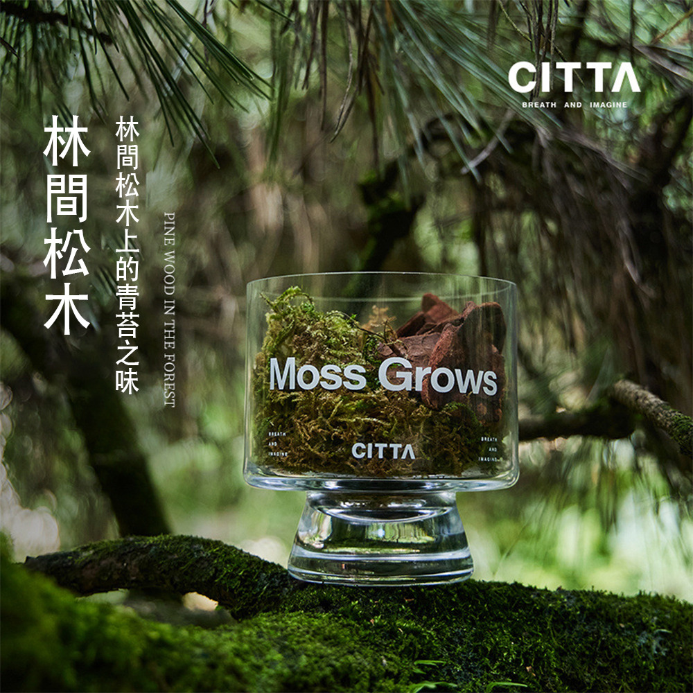 【極致禮盒！】CITTA松木青苔香薰 居家香氛擴香石 薰香精油晶岩礦石 聖誕禮物 聖誕節交換禮物 尾牙 贈品 生日禮物-細節圖2