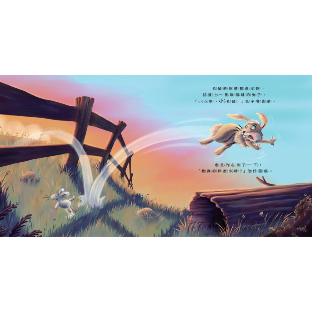 書適》你是我最大的小小朋友〔刺蝟與小老鼠2〕 /榮恩．范．莫里克 /晴好出版-細節圖3