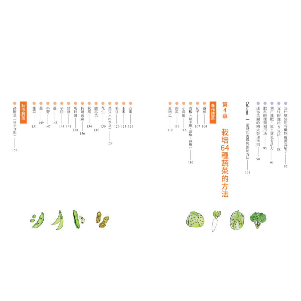 書適》新手不敗的一坪迷你菜園：零經驗也能四季收成的家庭菜園入門指南 /和田義彌 /晴好出版-細節圖6