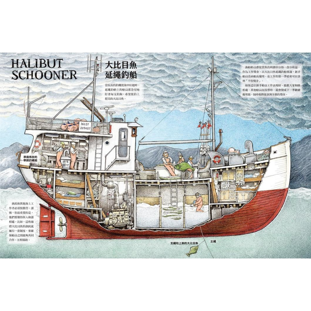 書適》上船囉！跟著航海爸爸出海去【小剖面大驚奇．大船祕密機關手繪圖解】（STEAM科學素養) /野人-細節圖4