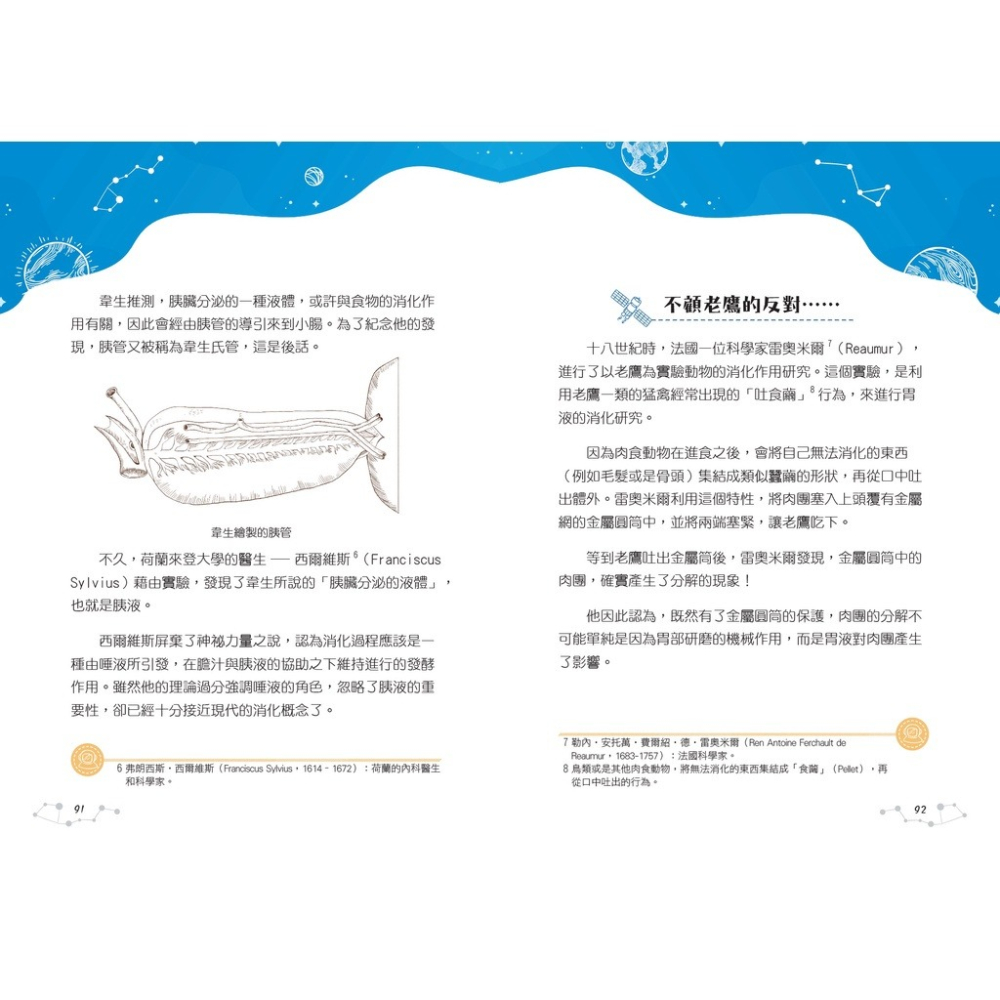 書適》奇怪的生物知識增加了、厲害了，我的生物 /蘇仁福、曾明騰 /聚光文創-細節圖7