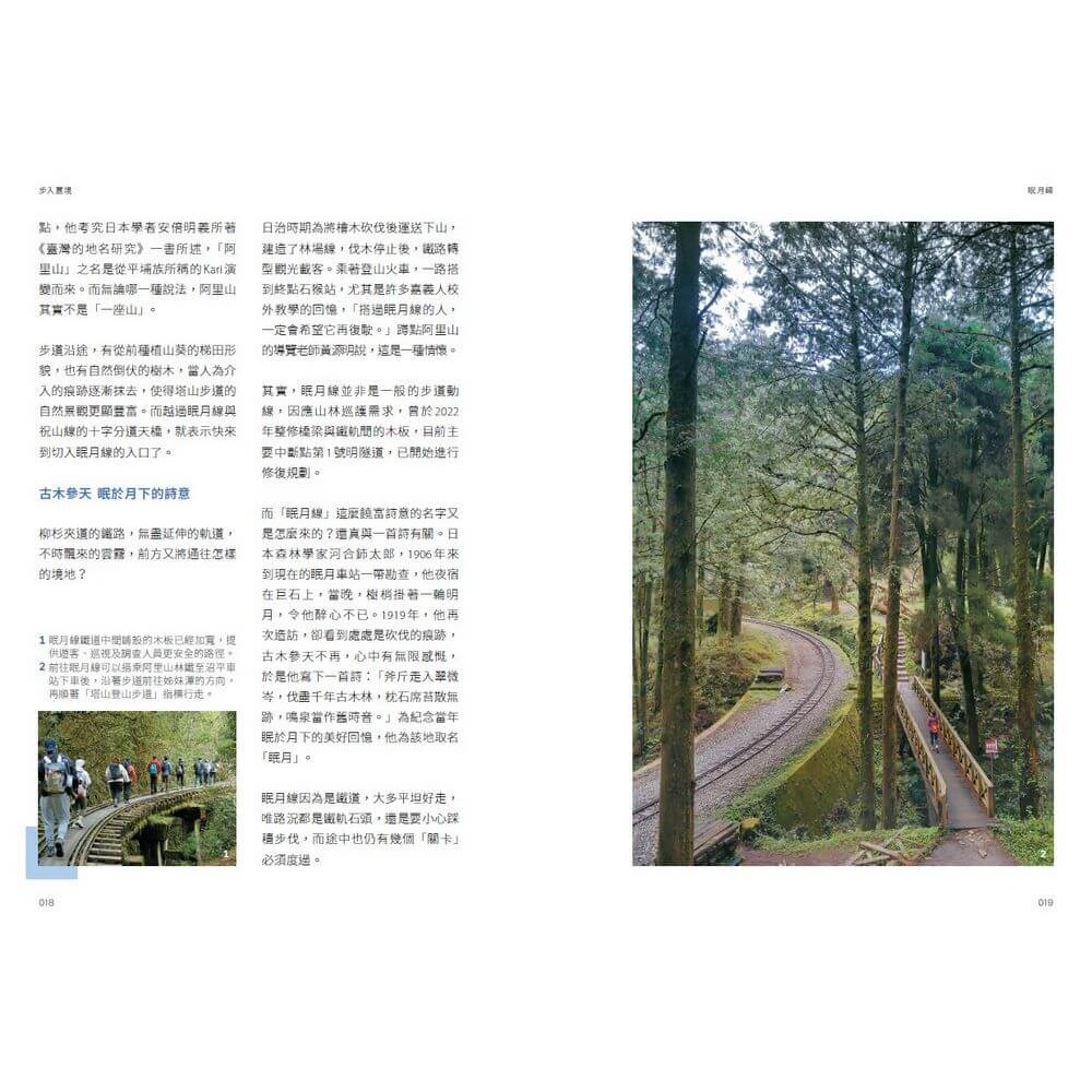 書適》步入嘉境：15條嘉義縣步道，與山一起呼吸 /天下雜誌-細節圖7