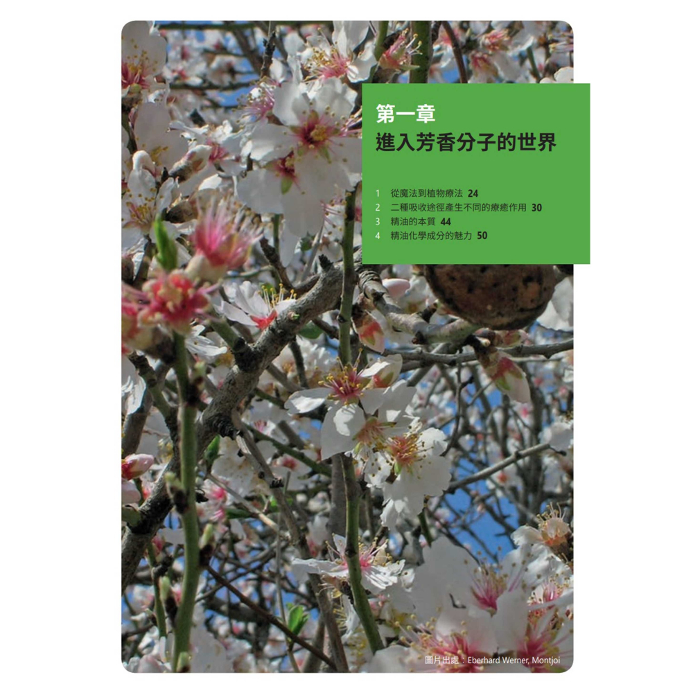書適》芳香療法實證學(增訂版)(精裝) /莫妮卡．韋納、茹絲．馮．布朗斯格 /德芳國際出版-細節圖2