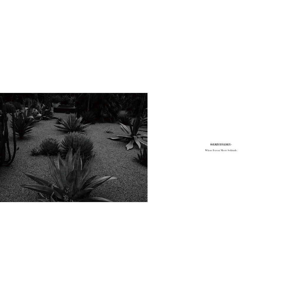 書適》在另一條路上(限制級) /郭英聲 /大辣-細節圖6