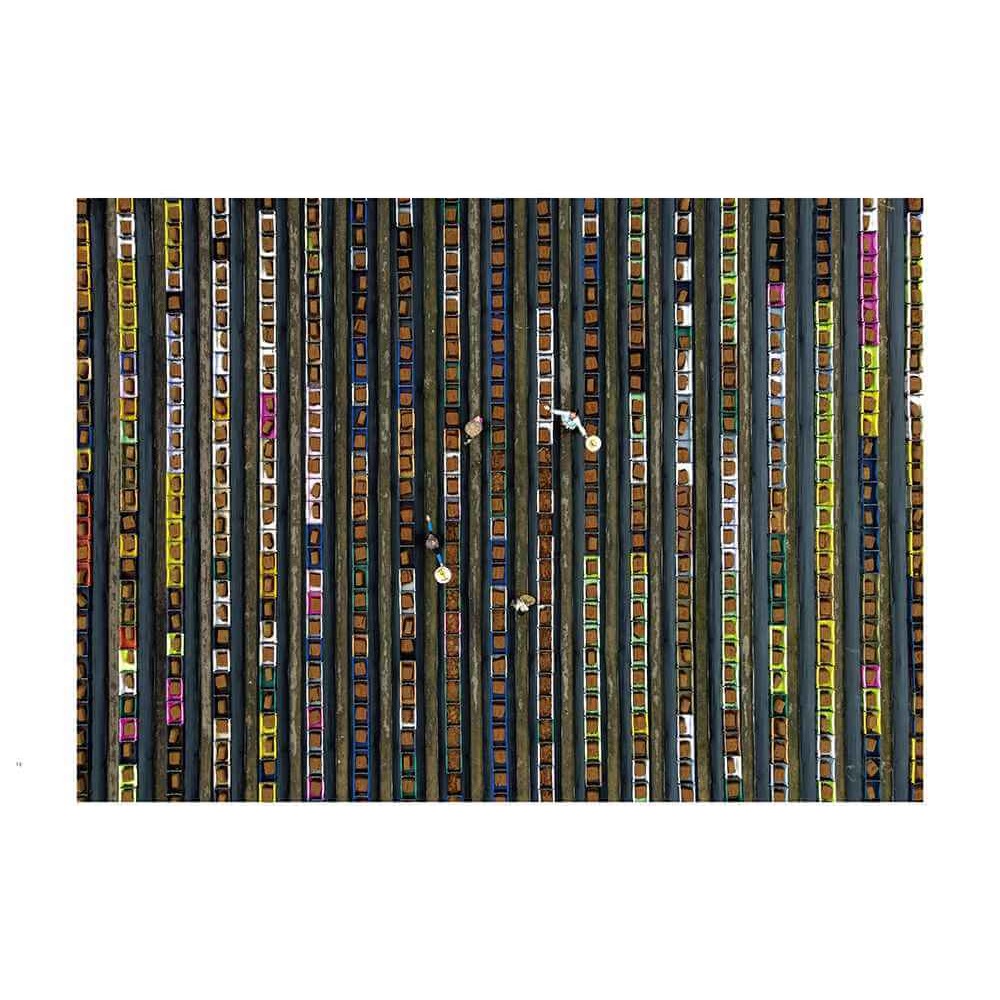 書適》垂景：葉陶軒空拍攝影集 /葉陶軒 /大塊-細節圖2