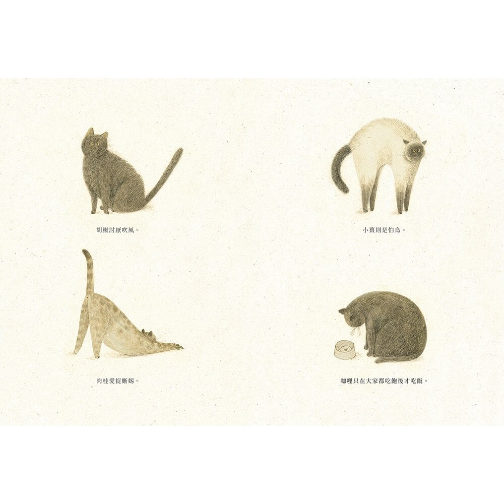 書適》小貓一隻一隻來 /大衛．卡利 /大塊-細節圖6