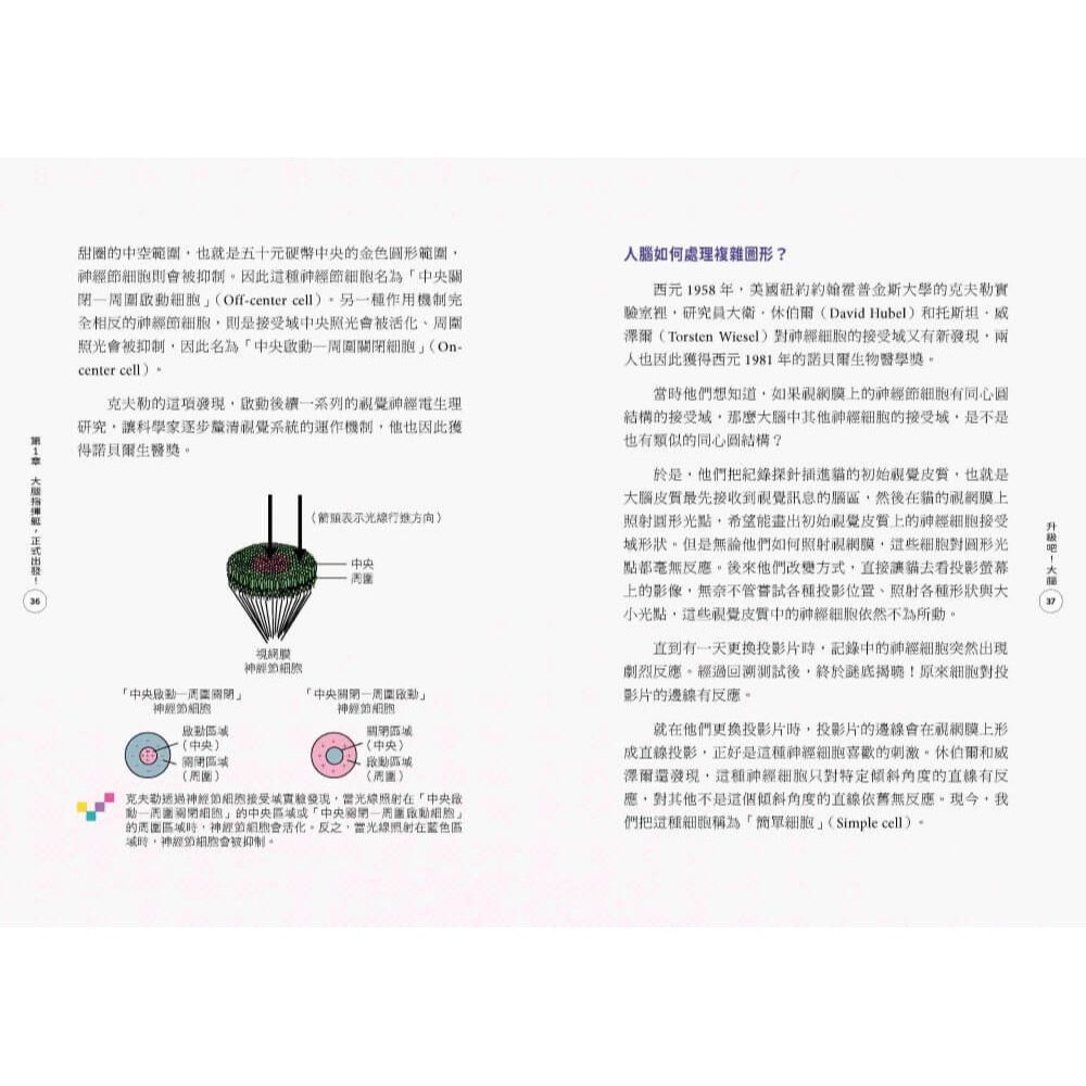 升級吧！大腦──激發大腦超能力，破解金魚腦、腦腐陷阱、演算法操控的祕密 /謝伯讓 /親子天下-細節圖3