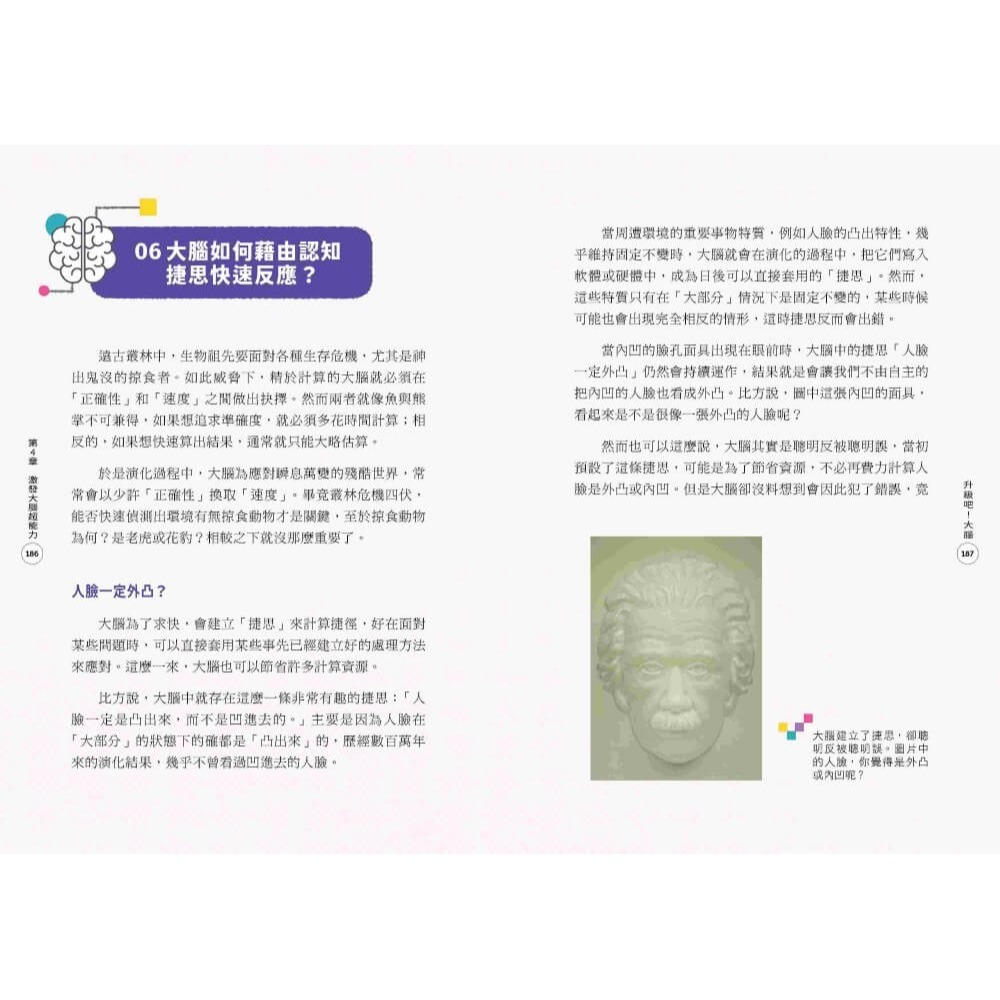 升級吧！大腦──激發大腦超能力，破解金魚腦、腦腐陷阱、演算法操控的祕密 /謝伯讓 /親子天下-細節圖5