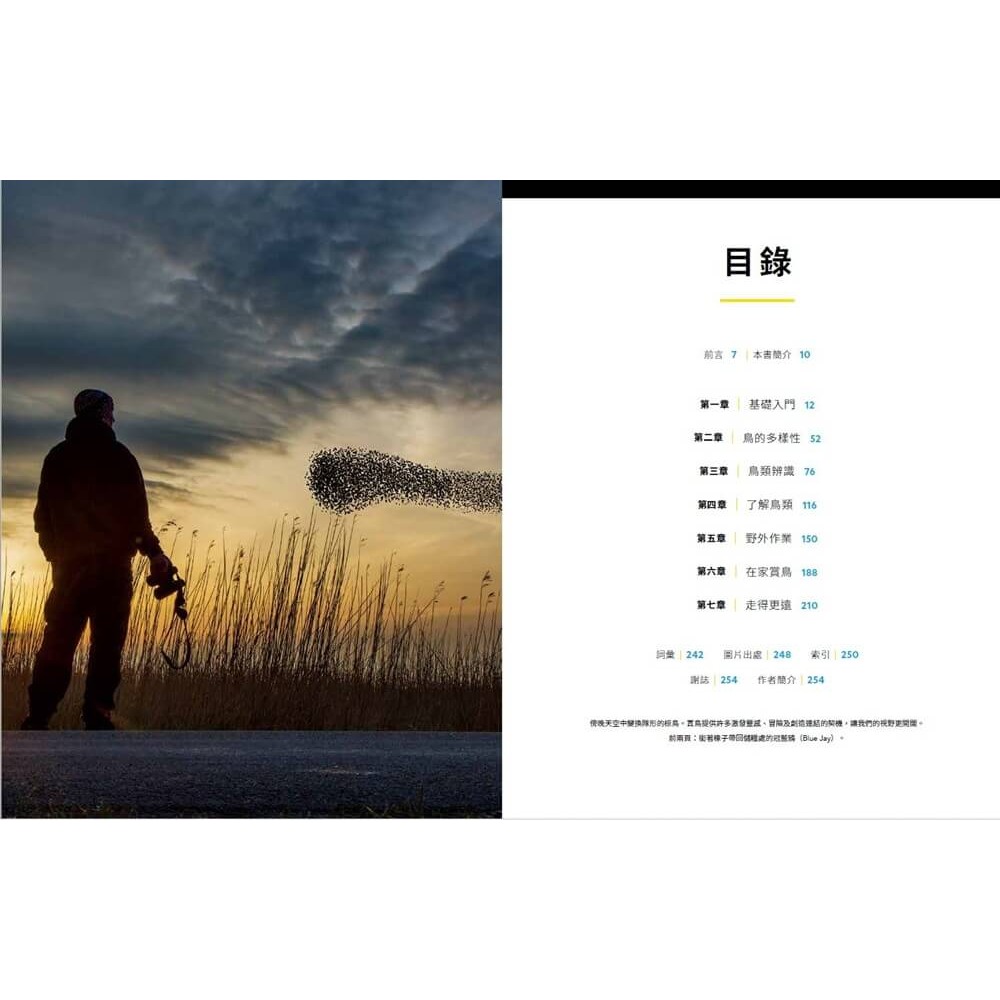 國家地理賞鳥指南 /諾亞．史崔克 /大石-細節圖2