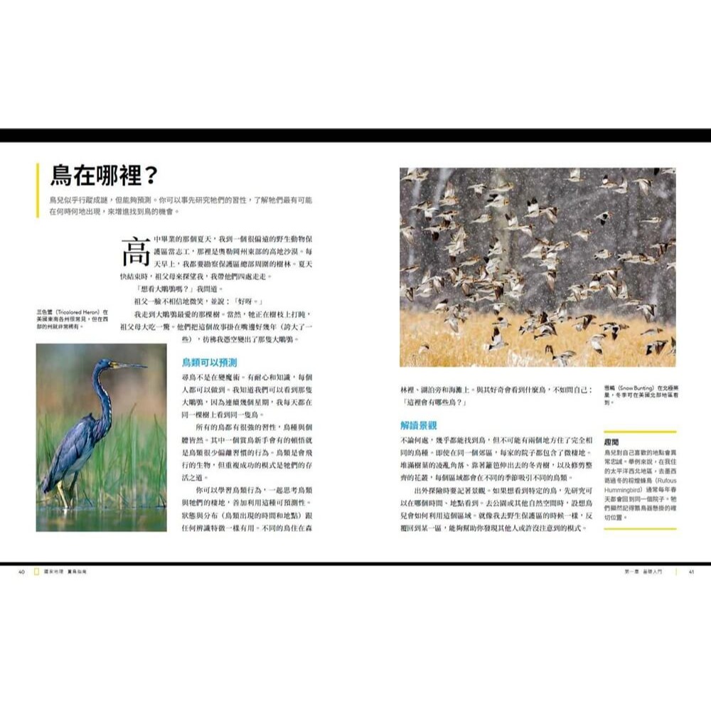 國家地理賞鳥指南 /諾亞．史崔克 /大石-細節圖3