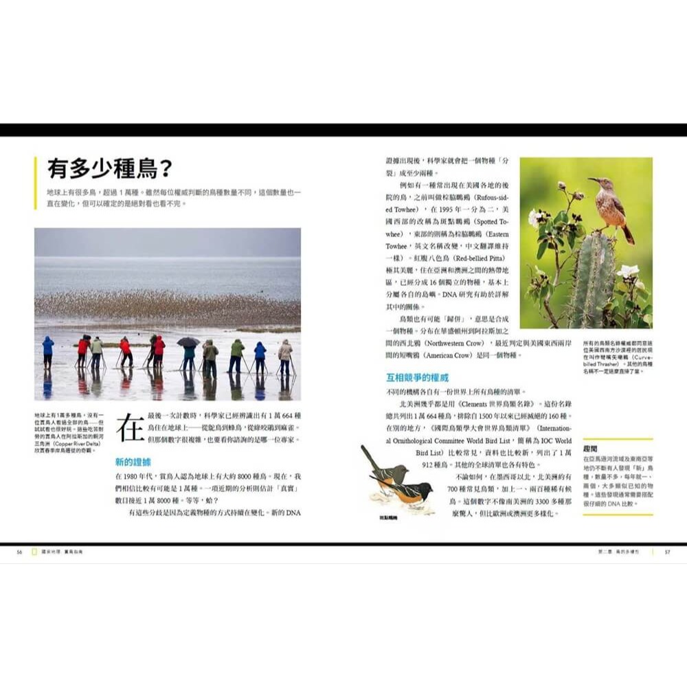 國家地理賞鳥指南 /諾亞．史崔克 /大石-細節圖4