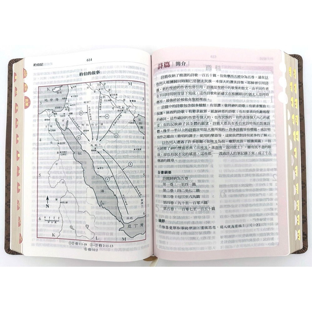 書適》聖經-和合本(褐金橫排皮面紅字索引)： /聖經資源中心-細節圖2