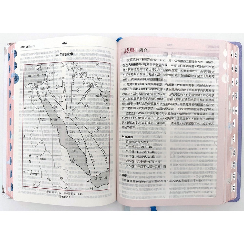 書適》聖經-和合本(藍金橫排皮面紅字索引)： /聖經資源中心-細節圖2