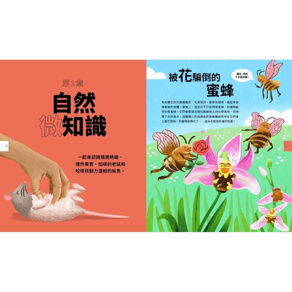 書適》學校學不到的科學知識大百科：250個最迷人、最怪異、最具啟發性的科學真相 /大石-細節圖3