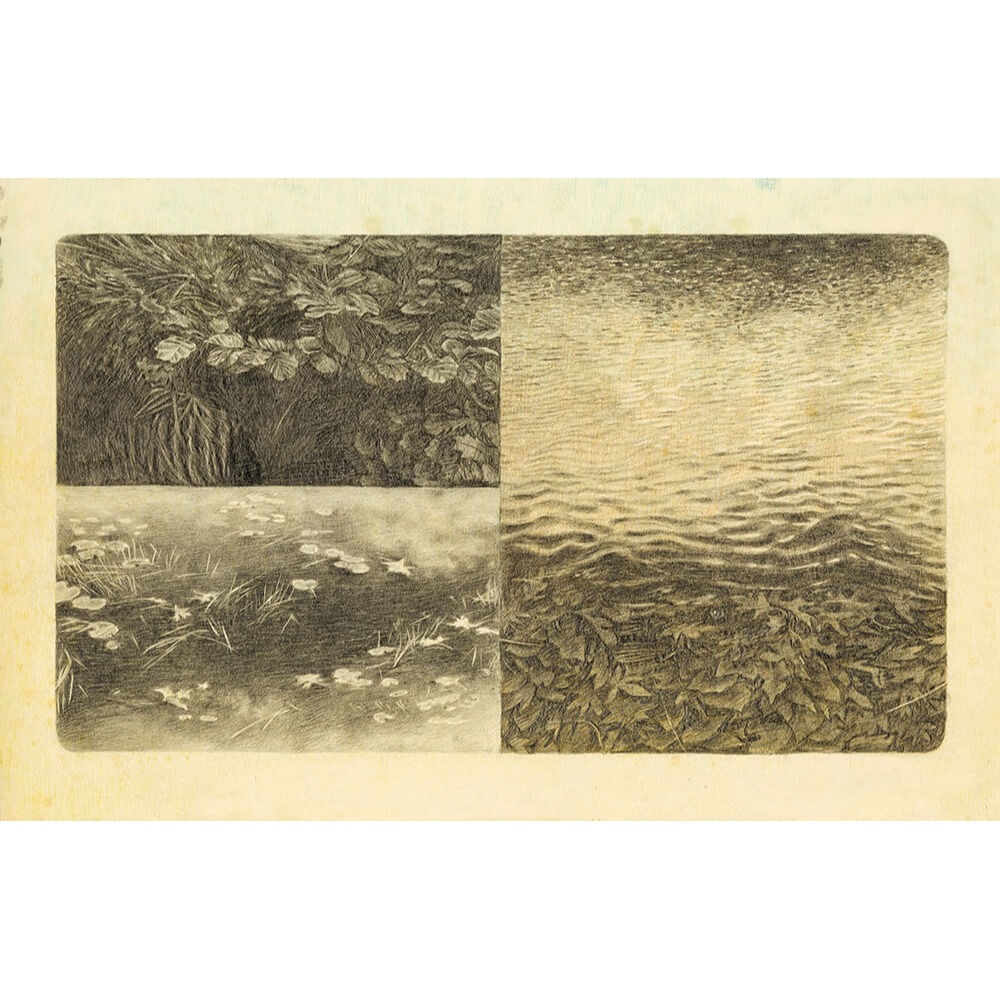 書適》最美的那顆石頭 /吉爾．鮑姆 /大塊-細節圖7