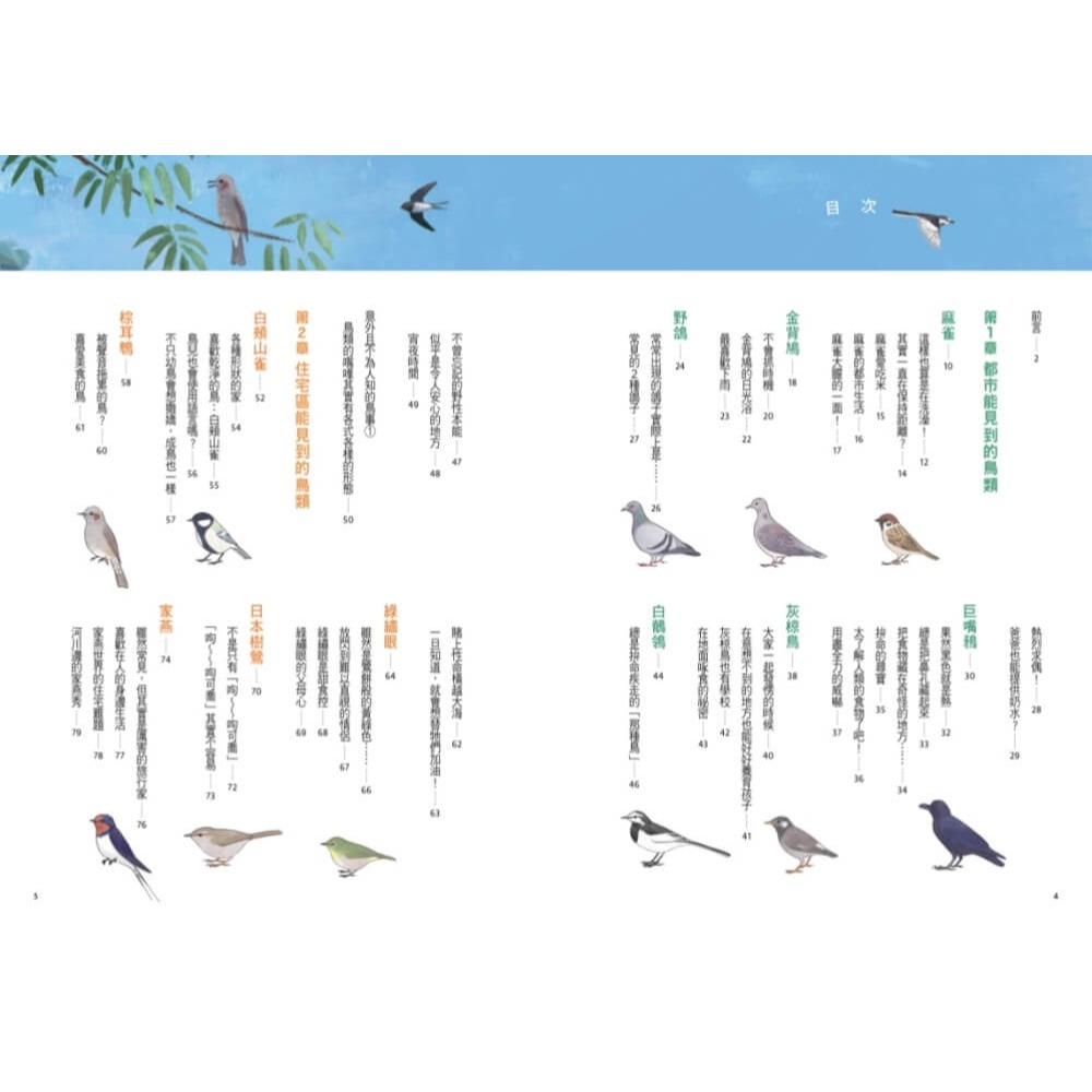 書適》可愛又真實！日常鳥生活 /磯鷸先生 /天下文化-細節圖2