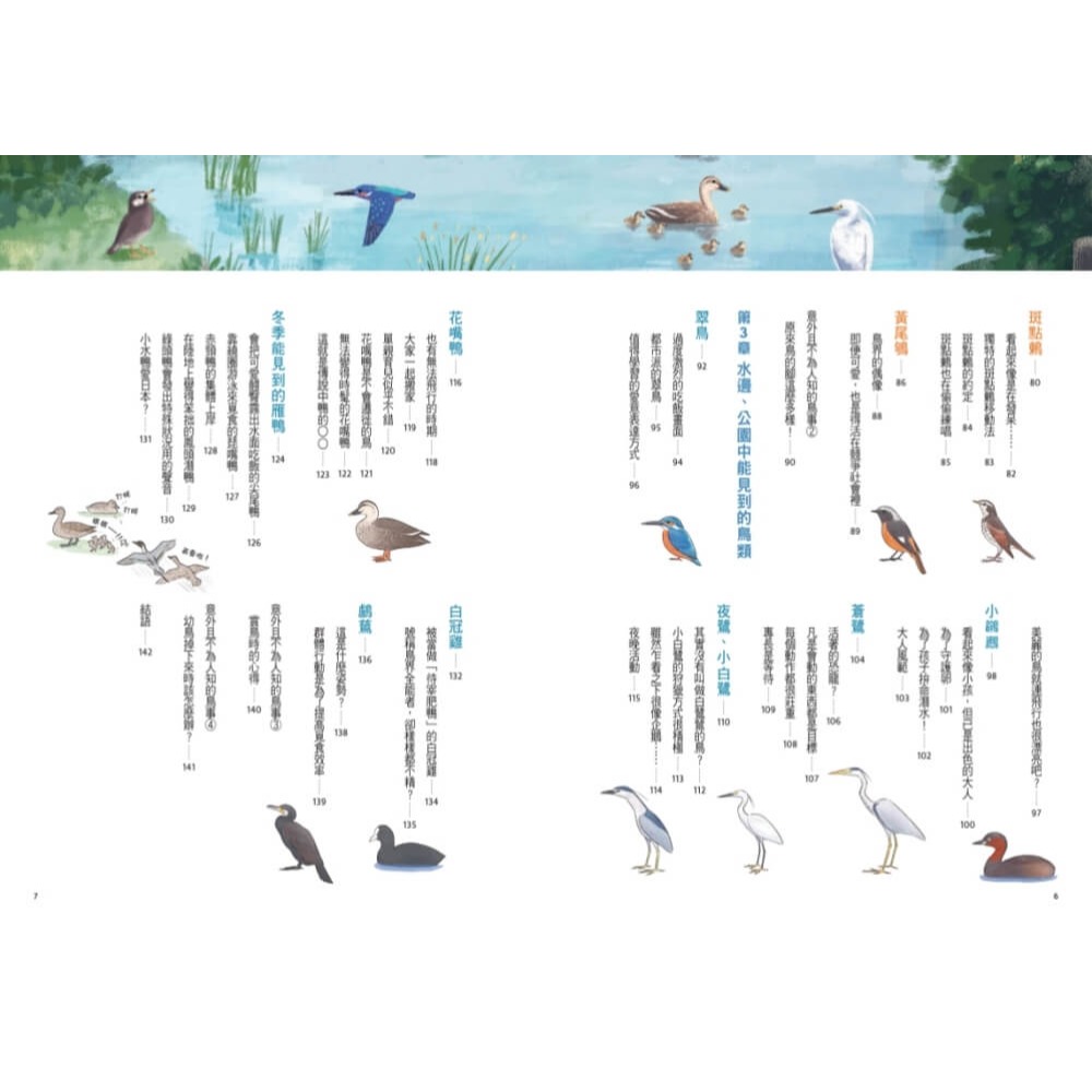 書適》可愛又真實！日常鳥生活 /磯鷸先生 /天下文化-細節圖3