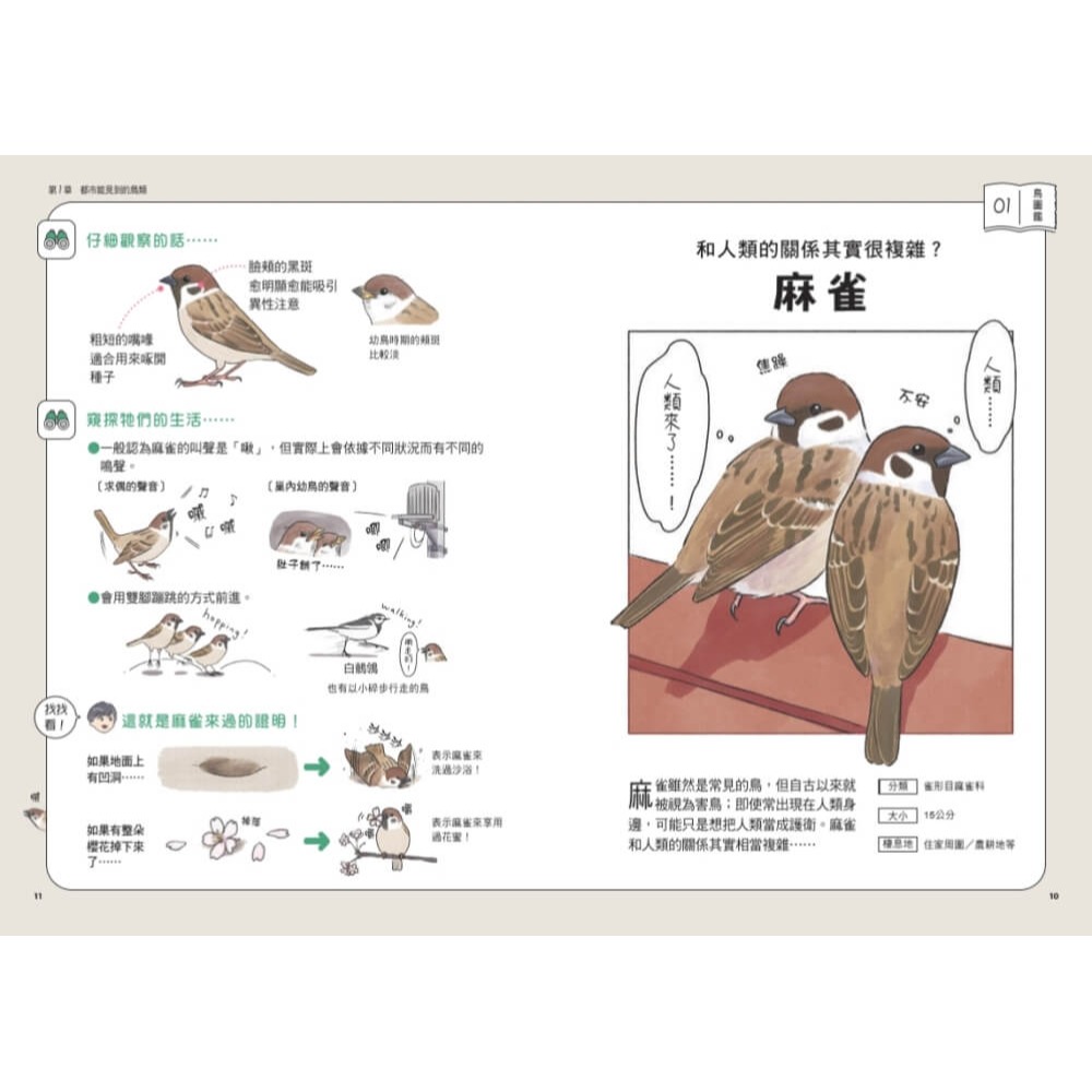 書適》可愛又真實！日常鳥生活 /磯鷸先生 /天下文化-細節圖4