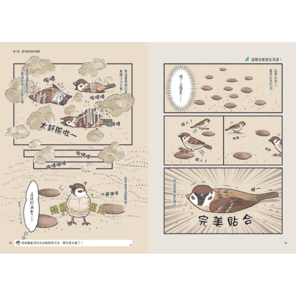 書適》可愛又真實！日常鳥生活 /磯鷸先生 /天下文化-細節圖5
