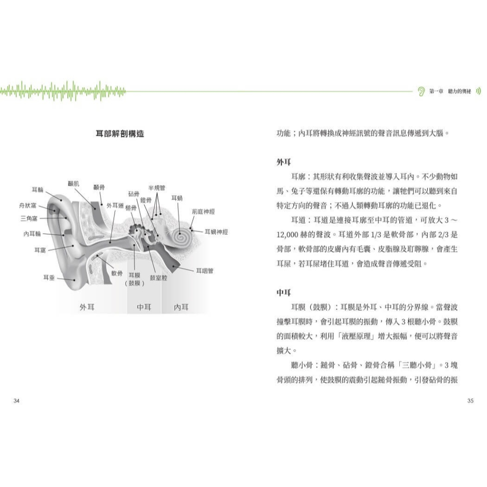 書適》聽力完全寶典（暢銷增訂版）：從幼兒到長輩，提升學習力和溝通力，遠離憂鬱失智，全面守護聽力 /力博宏 /天下生活-細節圖2