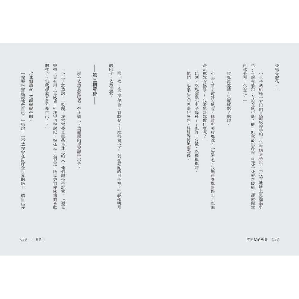 書適》不將就的勇氣：在徒勞無功、混亂失序的世界裡，找到最堅定的自己 /賴芳玉 /聯經-細節圖6