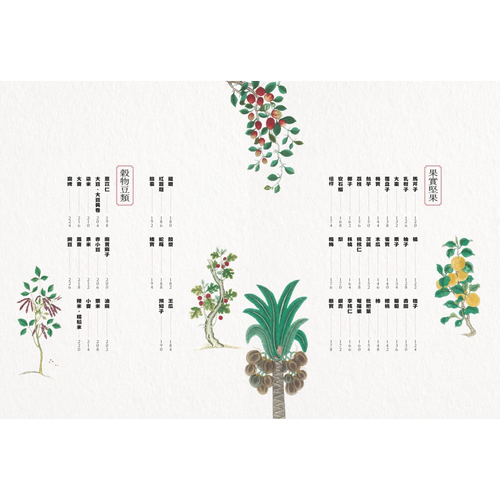 書適》隱世女畫家的自然手繪集：《金石昆蟲草木狀》花果篇 /聯經-細節圖4