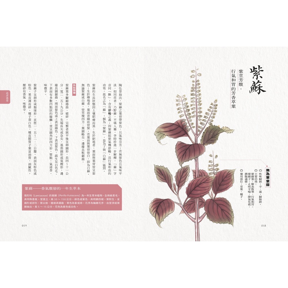 書適》隱世女畫家的自然手繪集：《金石昆蟲草木狀》花果篇 /聯經-細節圖6