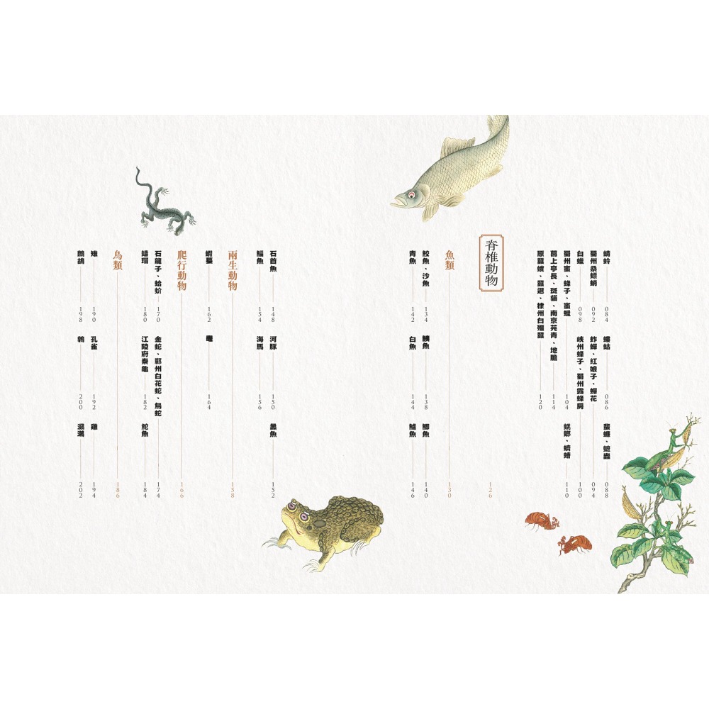 書適》隱世女畫家的自然手繪集：《金石昆蟲草木狀》動物篇 /聯經-細節圖4