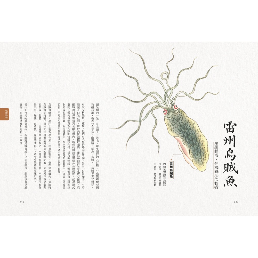 書適》隱世女畫家的自然手繪集：《金石昆蟲草木狀》動物篇 /聯經-細節圖6