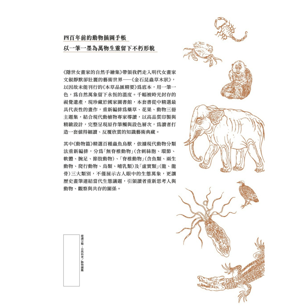 書適》隱世女畫家的自然手繪集：《金石昆蟲草木狀》動物篇 /聯經-細節圖7