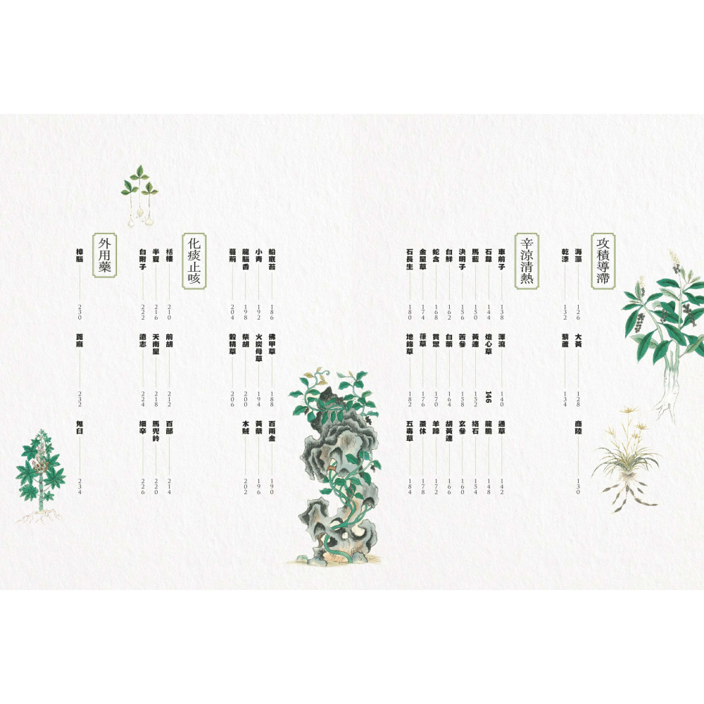 書適》隱世女畫家的自然手繪集：《金石昆蟲草木狀》藥草篇 /聯經-細節圖4