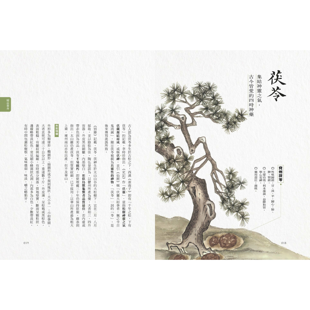 書適》隱世女畫家的自然手繪集：《金石昆蟲草木狀》藥草篇 /聯經-細節圖6