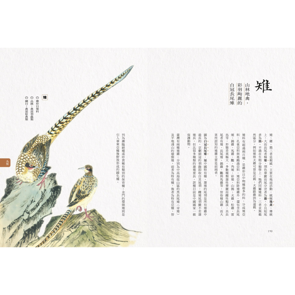 書適》隱世女畫家的自然手繪集：《金石昆蟲草木狀》藥草篇＋花果篇＋動物篇（全三冊） /聯經-細節圖8