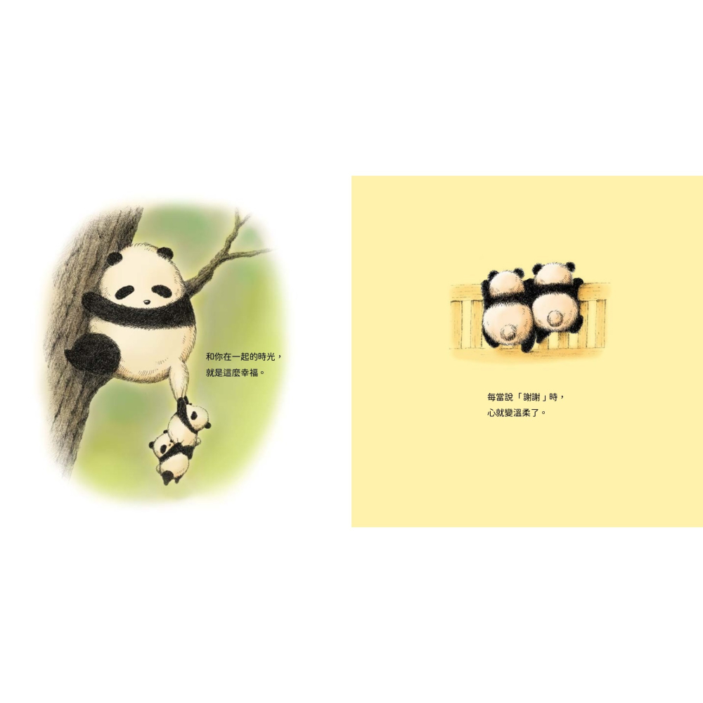 書適》雙胞胎貓熊的幸福咒語 /西島三重子 /聯經-細節圖4