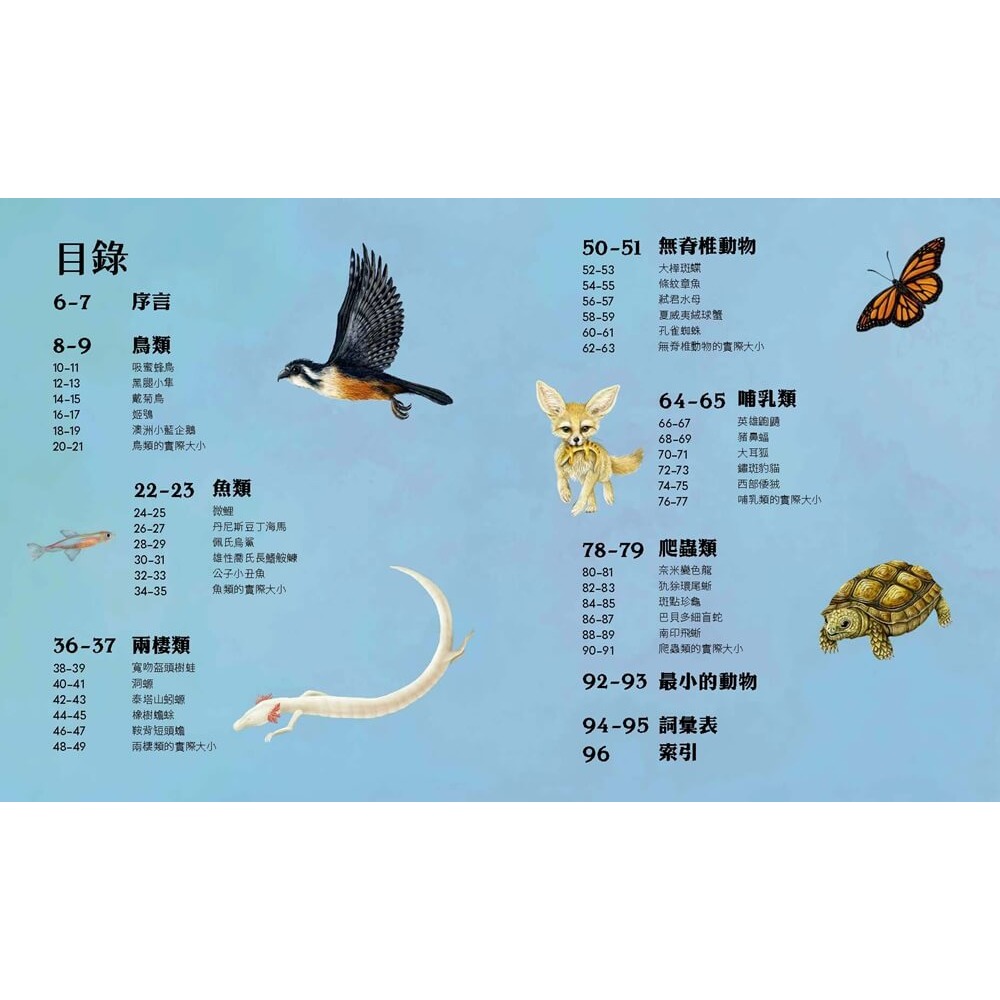 書適》迷你動物圖鑑：認識地球上30種最小的動物 /尼克．克倫普頓 /大石-細節圖3