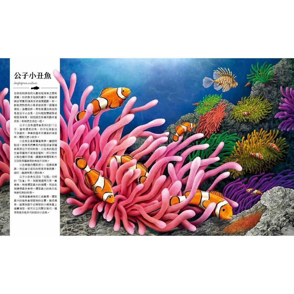 書適》迷你動物圖鑑：認識地球上30種最小的動物 /尼克．克倫普頓 /大石-細節圖5