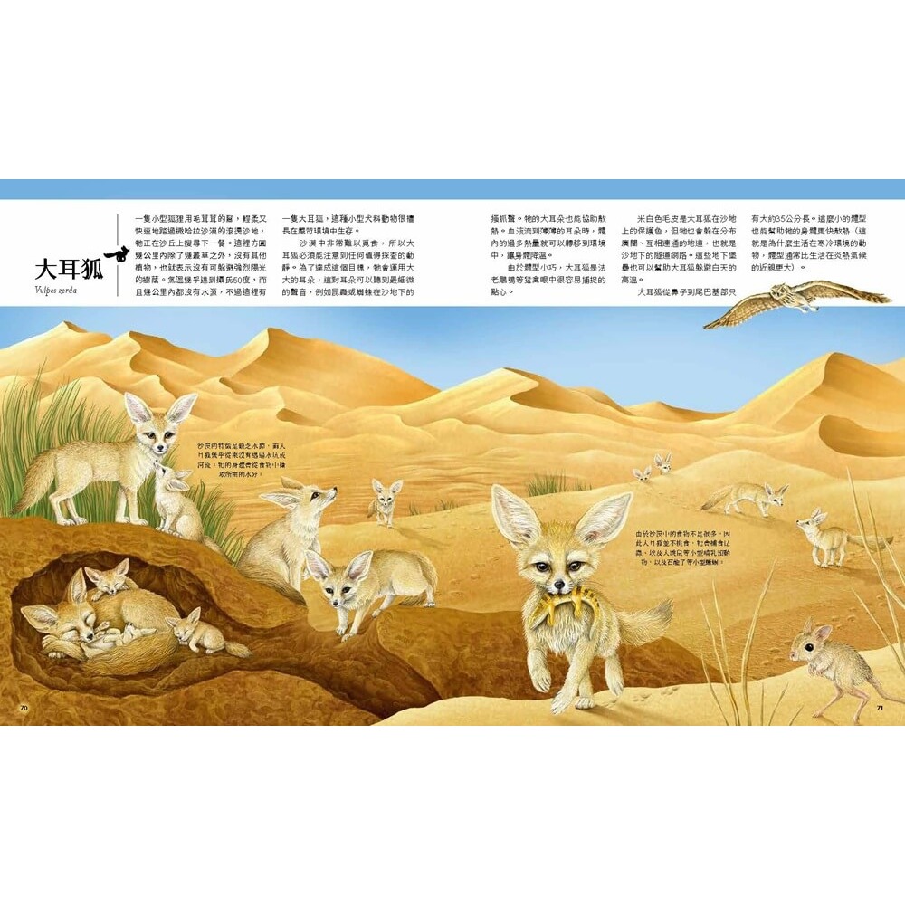 書適》迷你動物圖鑑：認識地球上30種最小的動物 /尼克．克倫普頓 /大石-細節圖7