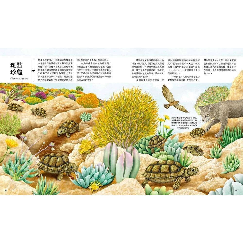 書適》迷你動物圖鑑：認識地球上30種最小的動物 /尼克．克倫普頓 /大石-細節圖8