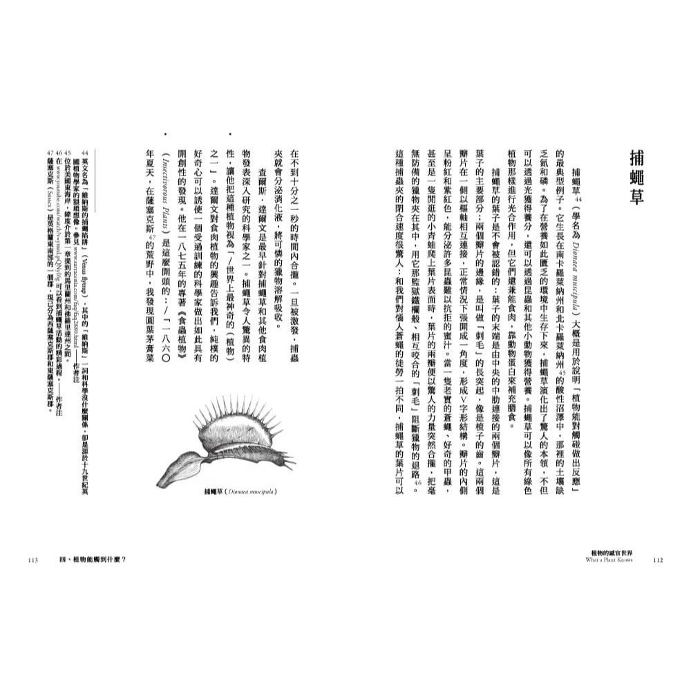 書適》植物的感官世界 /丹尼爾．查莫維茨 /寶瓶-細節圖5