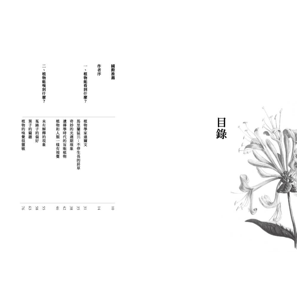 書適》植物的感官世界 /丹尼爾．查莫維茨 /寶瓶-細節圖6