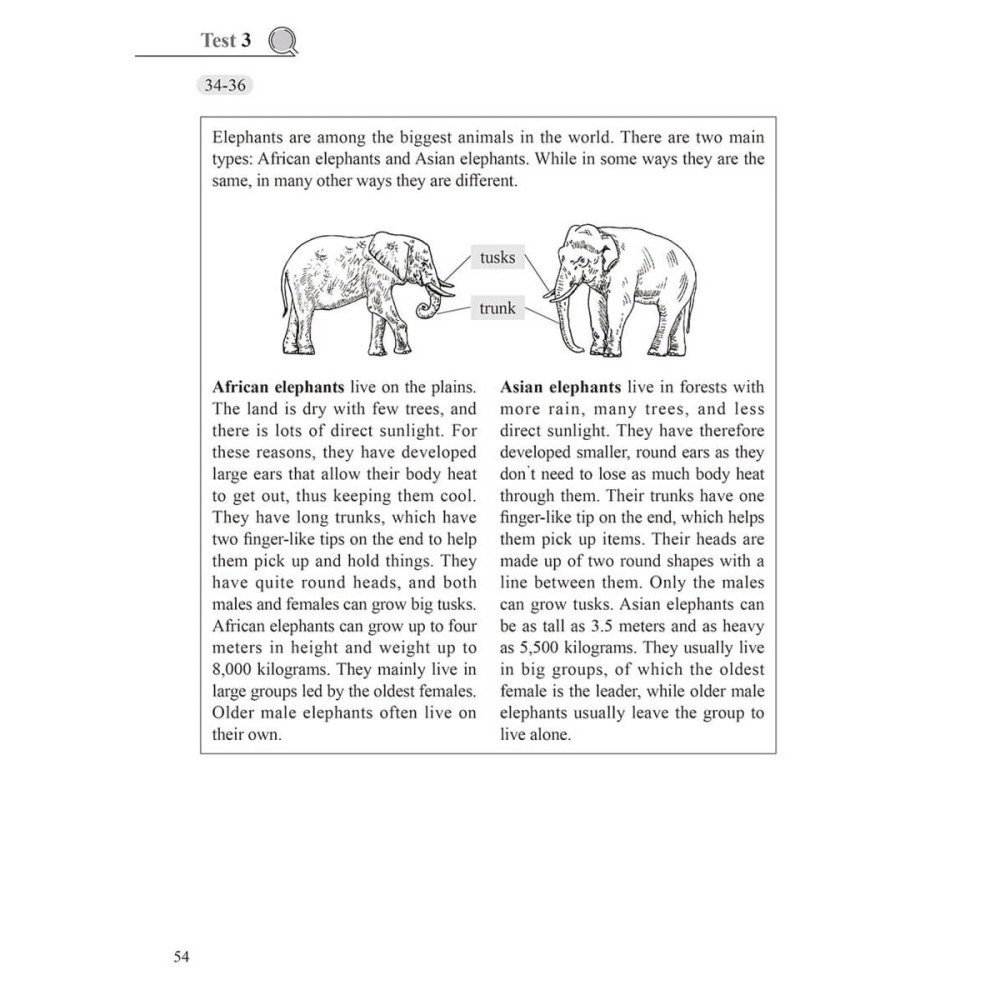 書適》國中英語會考 A++：實戰演練 10 回模擬試題（試題本 + 翻譯解析本 + QR Code線上音檔） /常春藤-細節圖6