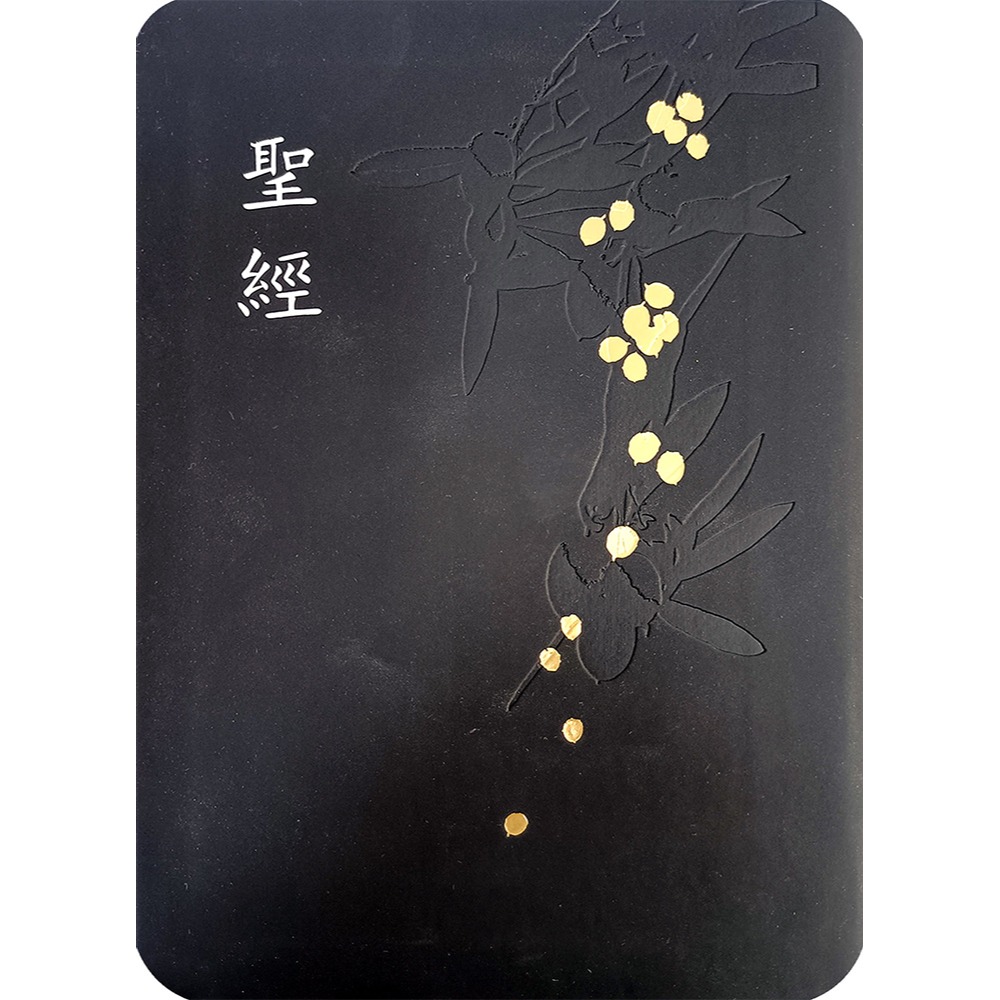 書適》聖經-和合本(黑色皮面燙金壓紋紅字精裝) /聖經資源中心-細節圖4