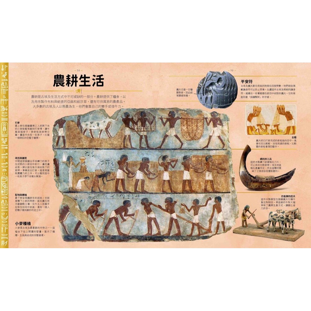 書適》古埃及祕密世界：從創世神話、日常生活到永生信仰 /大石-細節圖6
