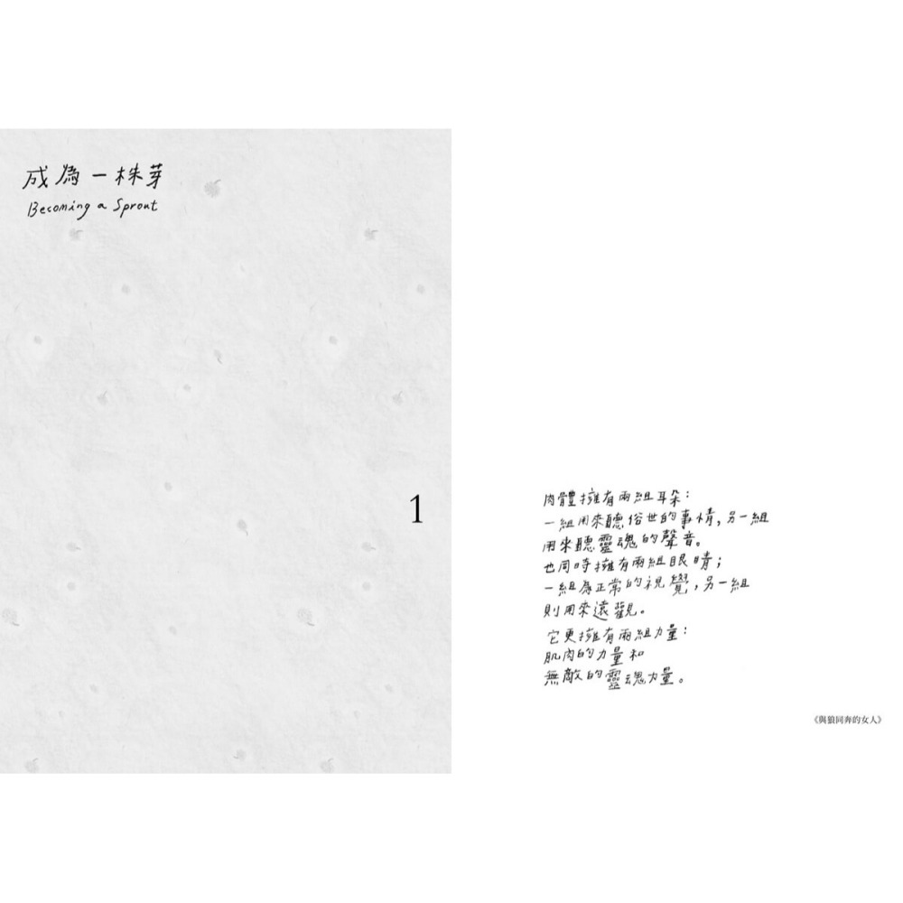 書適》成為一座山 /奇亞子Chia /大辣-細節圖5