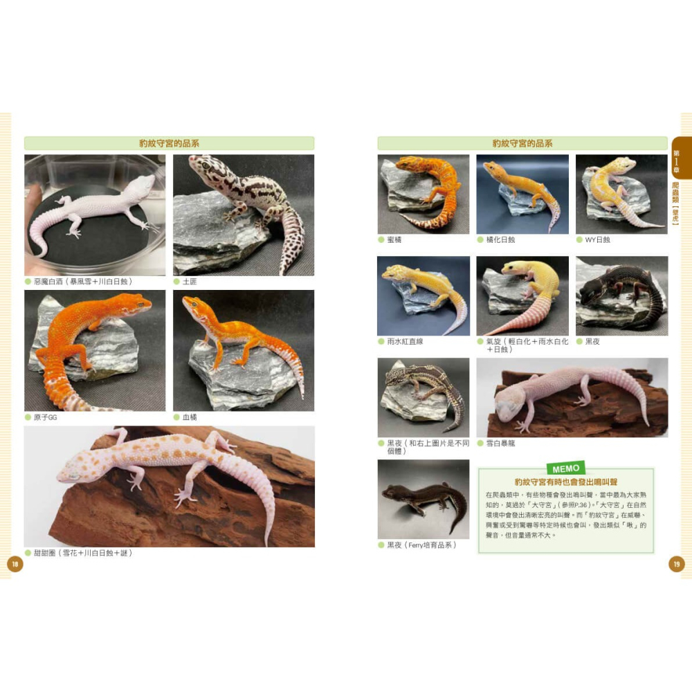 書適》爬蟲•兩棲類實用小圖鑑：精選120個物種！從人氣到稀有，找到最想飼養的小可愛 /朱雀文化-細節圖4