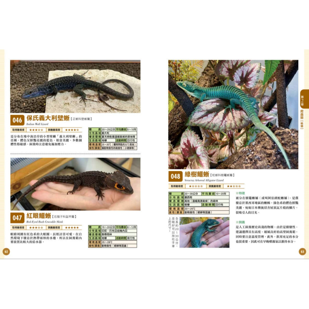 書適》爬蟲•兩棲類實用小圖鑑：精選120個物種！從人氣到稀有，找到最想飼養的小可愛 /朱雀文化-細節圖6