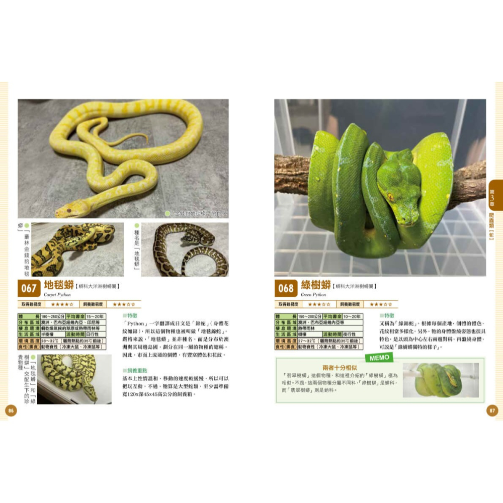 書適》爬蟲•兩棲類實用小圖鑑：精選120個物種！從人氣到稀有，找到最想飼養的小可愛 /朱雀文化-細節圖7