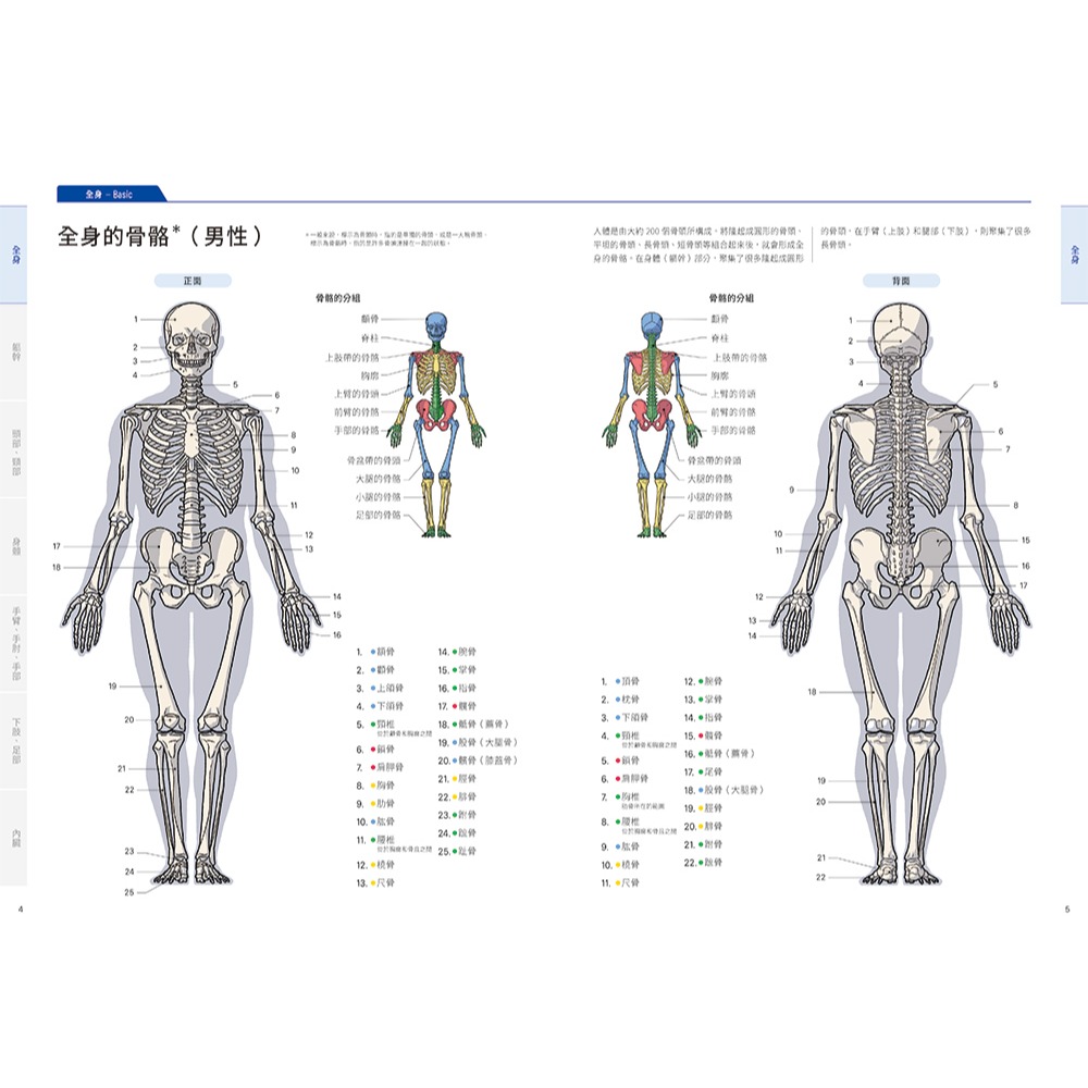 【書適團購】美術解剖學基礎教本 /加藤公太 /瑞昇文化-細節圖2