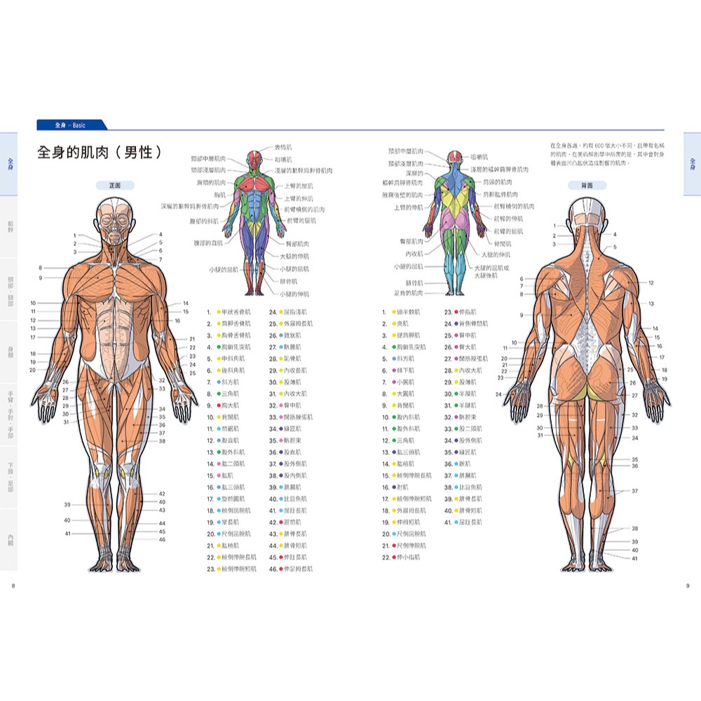 【書適團購】美術解剖學基礎教本 /加藤公太 /瑞昇文化-細節圖4