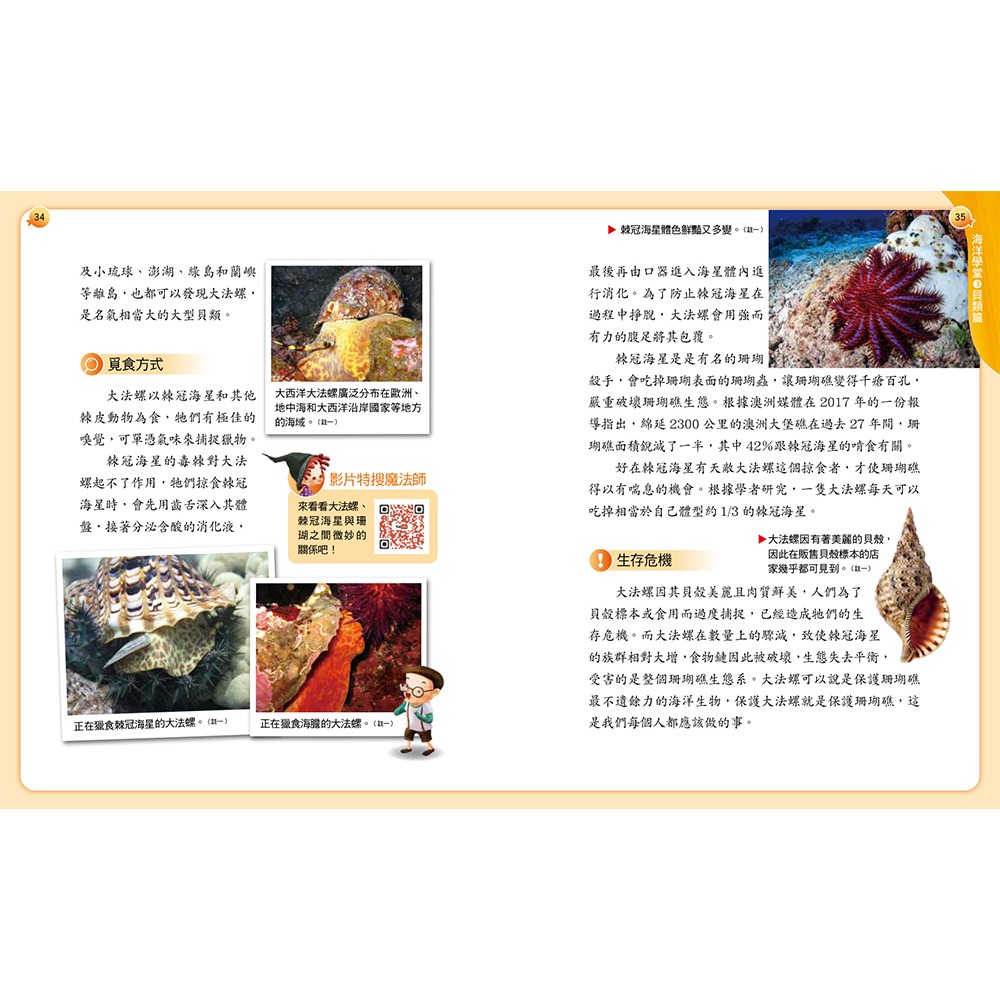 書適》阿德蝸的海洋學堂：海神的大法螺（二版） /小兵-細節圖2